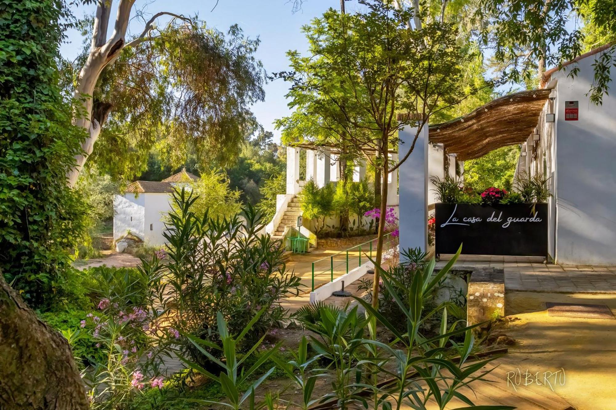 Apartamento Nuevo Centrico Con Aparcamiento Privado Incluido アルカラ・デ・グアダイラ エクステリア 写真